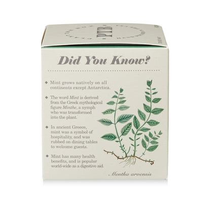 Crushed Mint Plant The Box Candle, 9 Oz