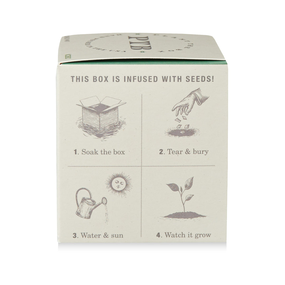 Crushed Mint Plant The Box Candle, 9 Oz