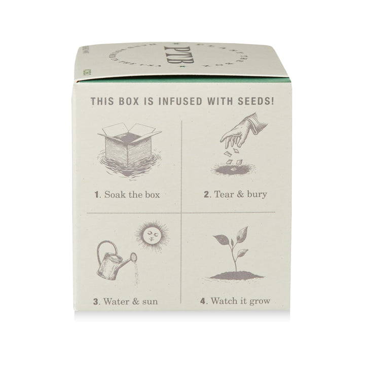 Crushed Mint Plant The Box Candle, 9 Oz