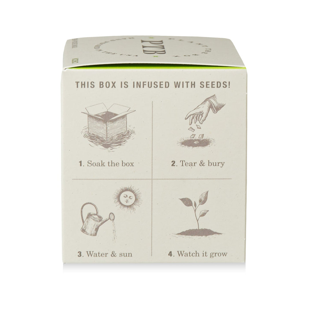 Fresh Picked Basil Plant the Box Candle, 9 Oz