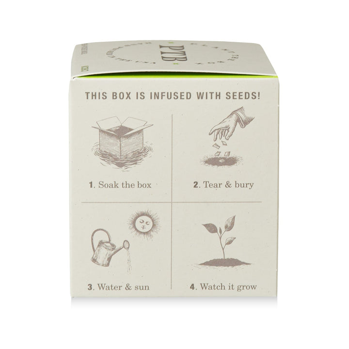 Fresh Picked Basil Plant the Box Candle, 9 Oz