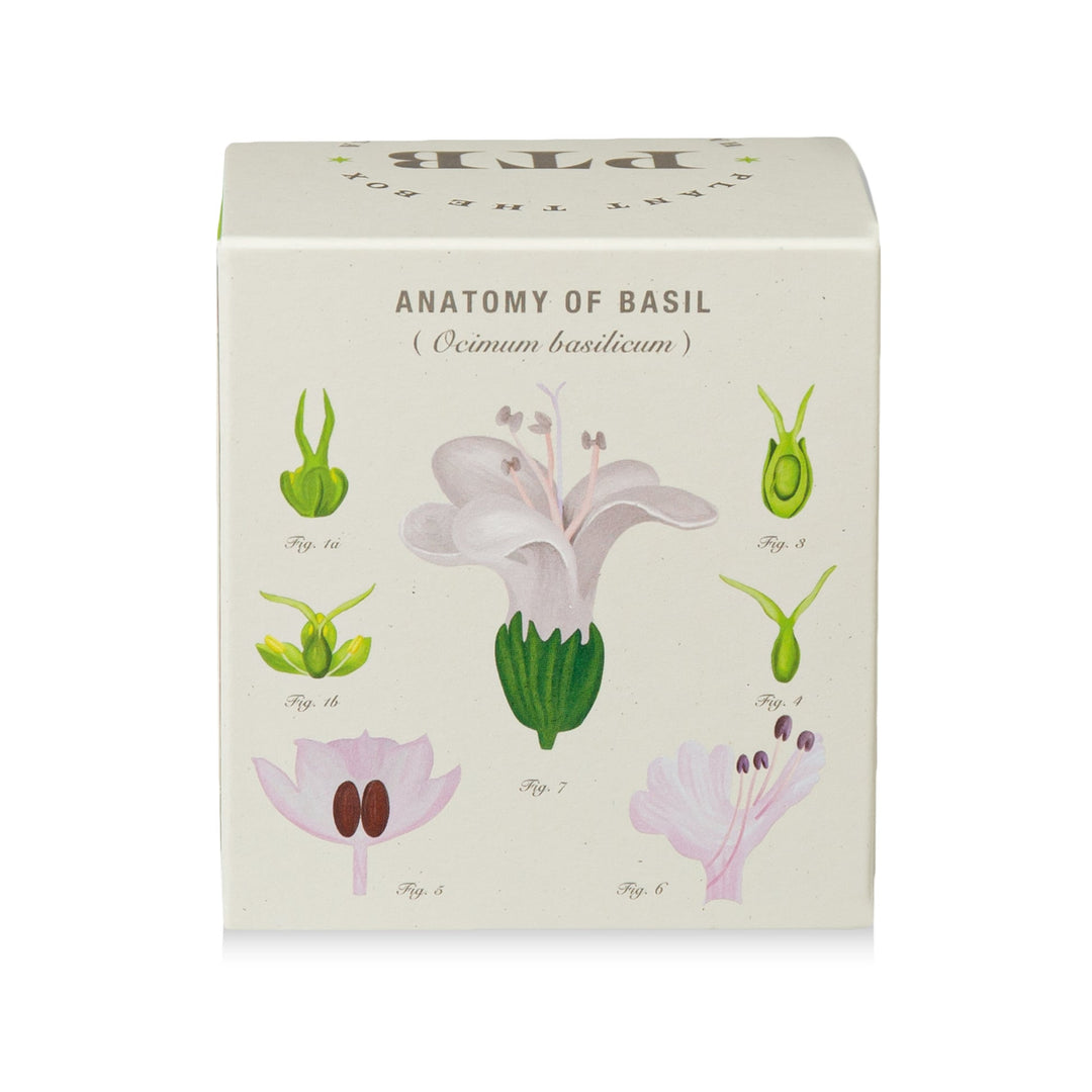 Fresh Picked Basil Plant the Box Candle, 9 Oz