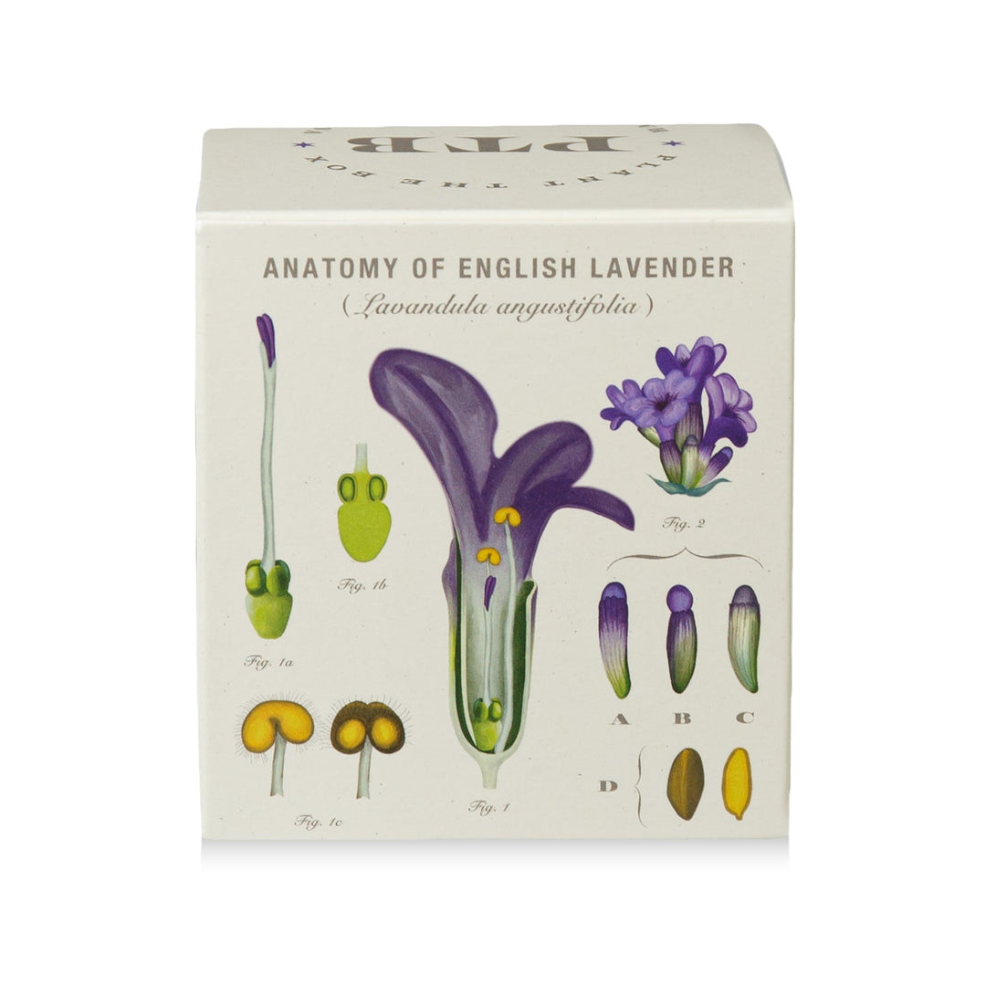 Heath Lavender Plant The Box Candle, 9 Oz