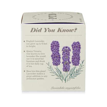 Heath Lavender Plant The Box Candle, 9 Oz
