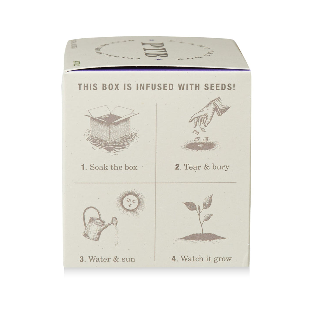 Heath Lavender Plant The Box Candle, 9 Oz