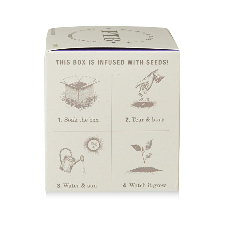 Heath Lavender Plant The Box Candle, 9 Oz