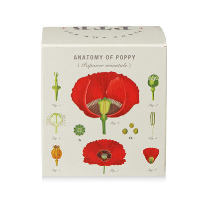 Red Poppy Plant The Box Candle, 9 Oz