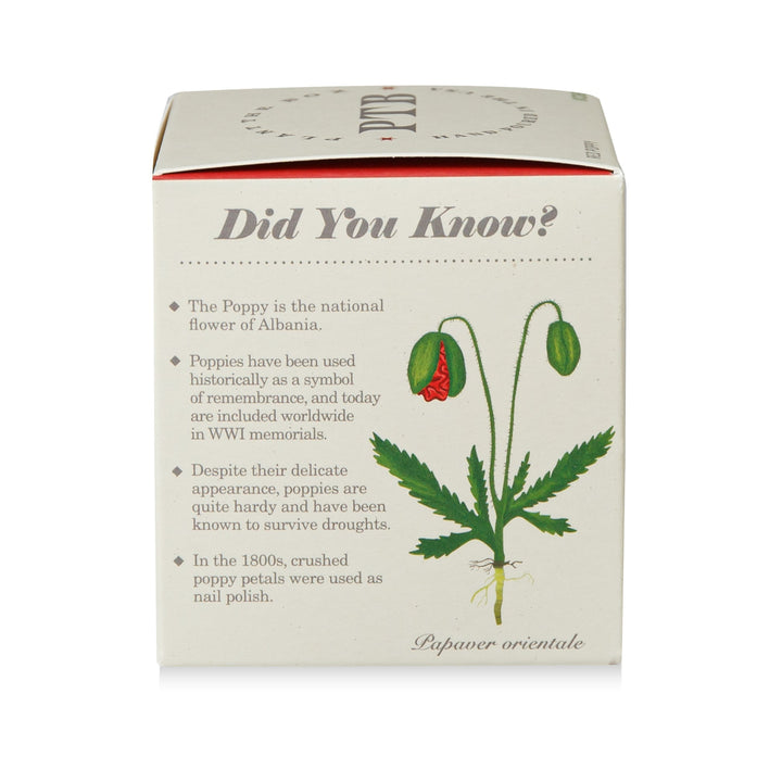Red Poppy Plant The Box Candle, 9 Oz