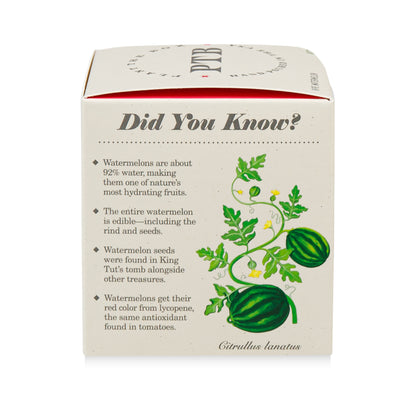 Ripe Watermelon Plant the Box Candle, 9 Oz