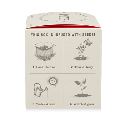 Ripe Watermelon Plant the Box Candle, 9 Oz