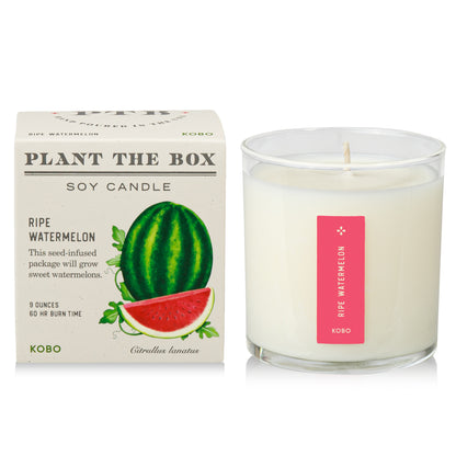 Ripe Watermelon Plant the Box Candle, 9 Oz