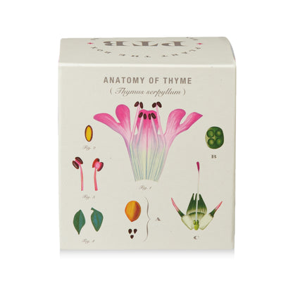 Somerset Thyme Plant The Box Candle, 9 Oz