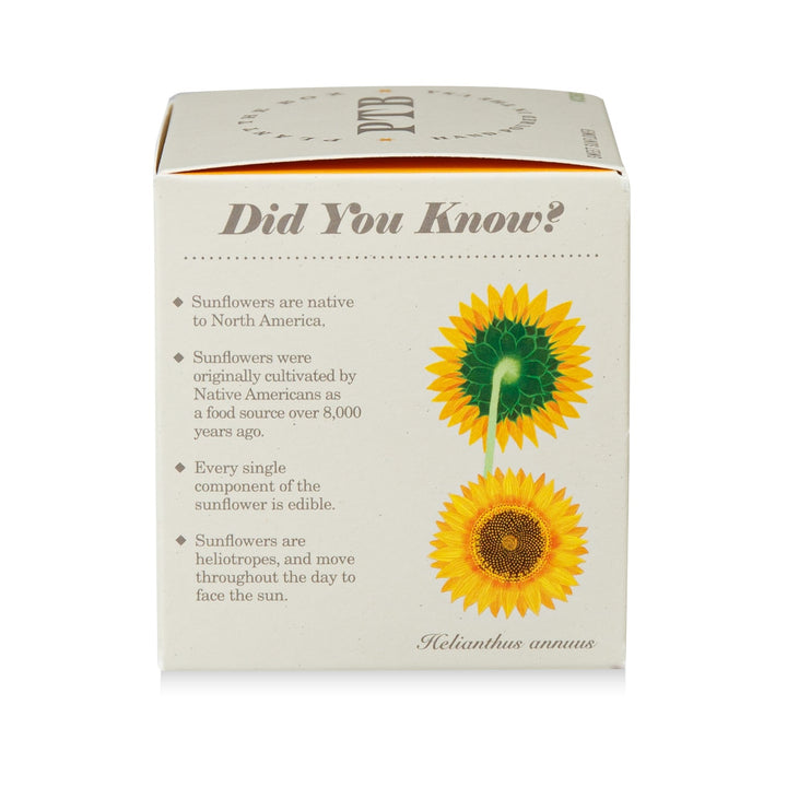 Sweet Sunflower Plant The Box Candle, 9 Oz