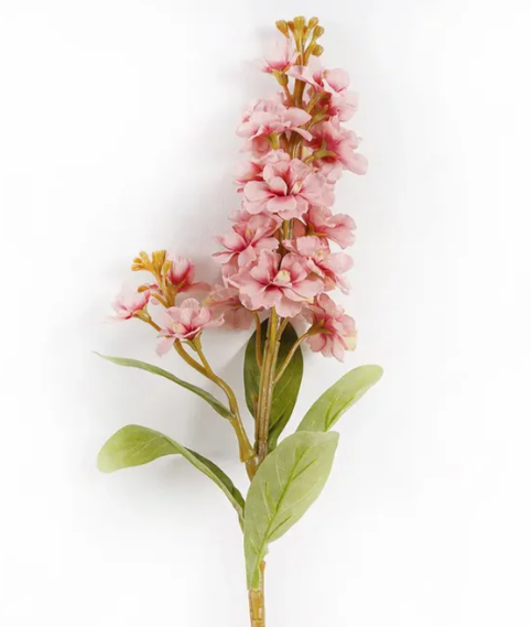 Stock Dark Pink