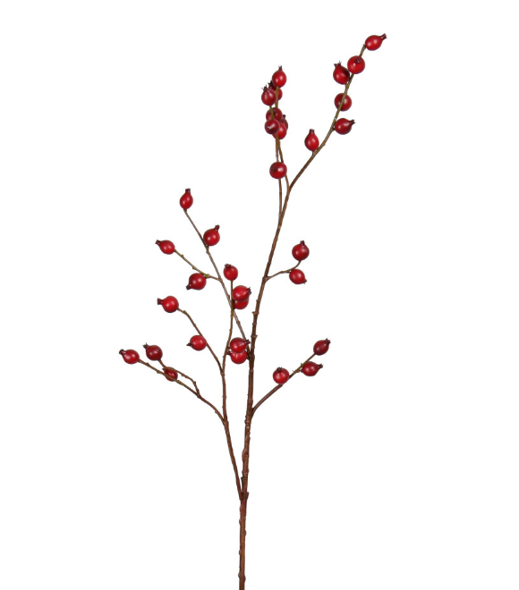 Red Rosehip Stem