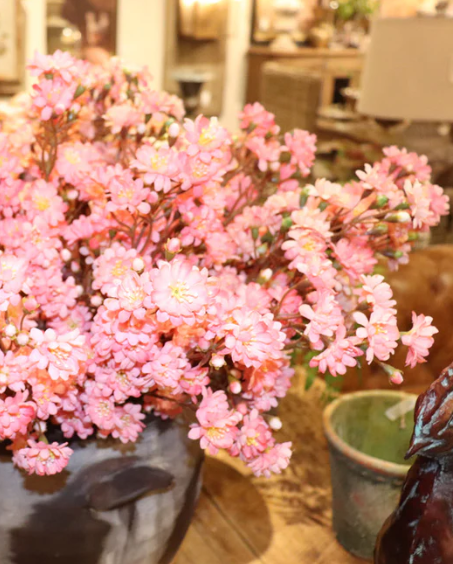 Sweet Blossom Pink