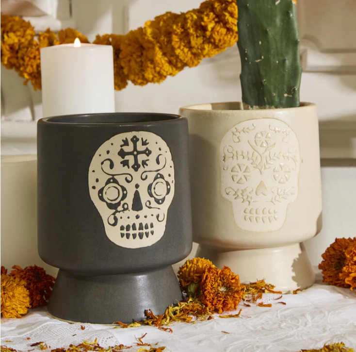 Posada Pot