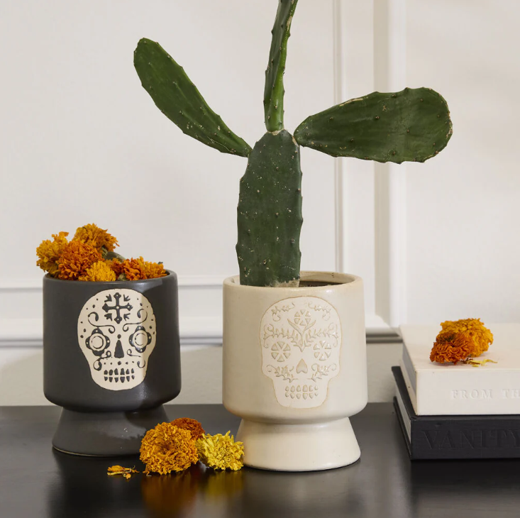 Posada Pot