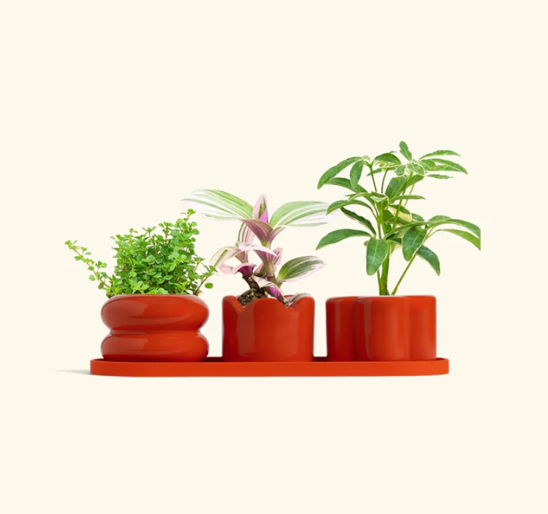 Mini Trio Planter Red