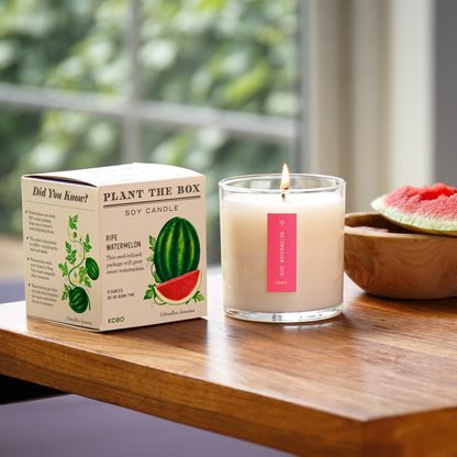 Ripe Watermelon Plant the Box Candle, 9 Oz