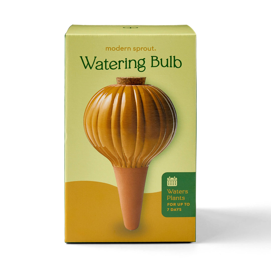 Sage Terracotta Watering Bulb