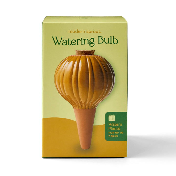 Sage Terracotta Watering Bulb