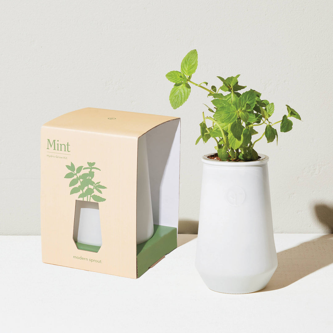 Lavender Tapered Tumbler