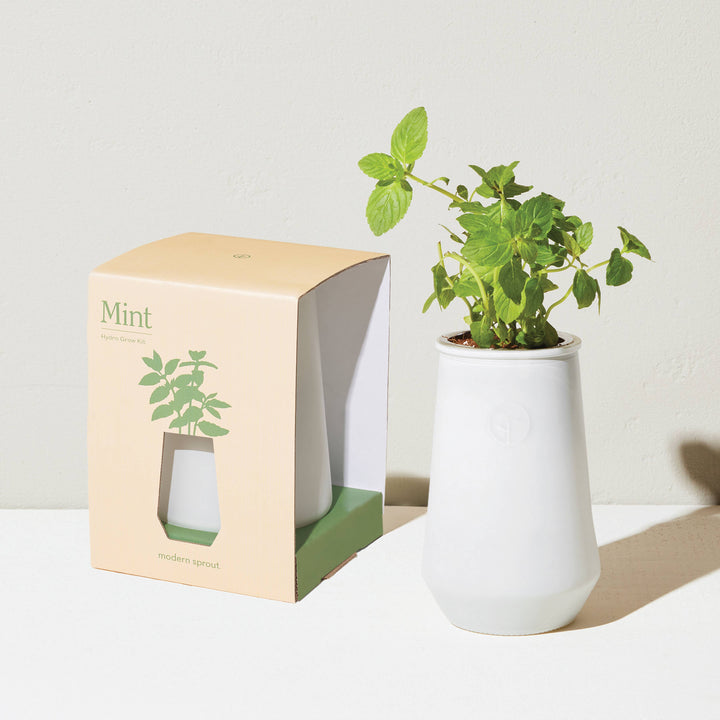Lavender Tapered Tumbler