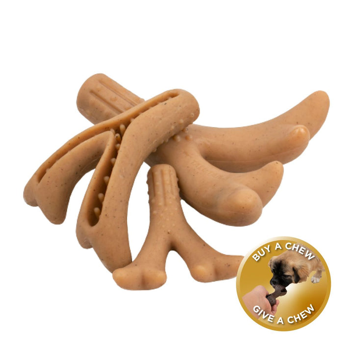 Antler Chew Dog Toy, Bacon Flavored