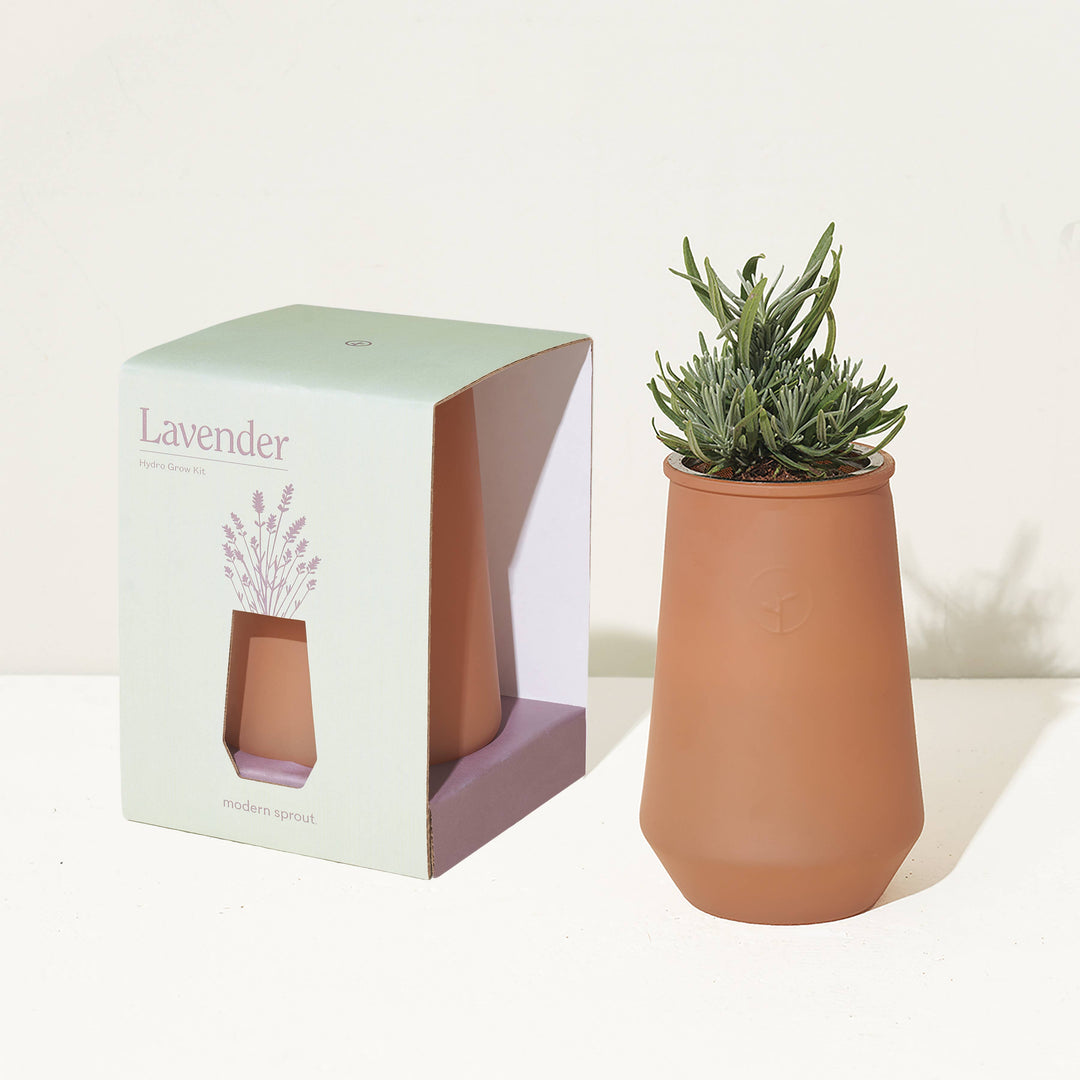 Lavender Tapered Tumbler