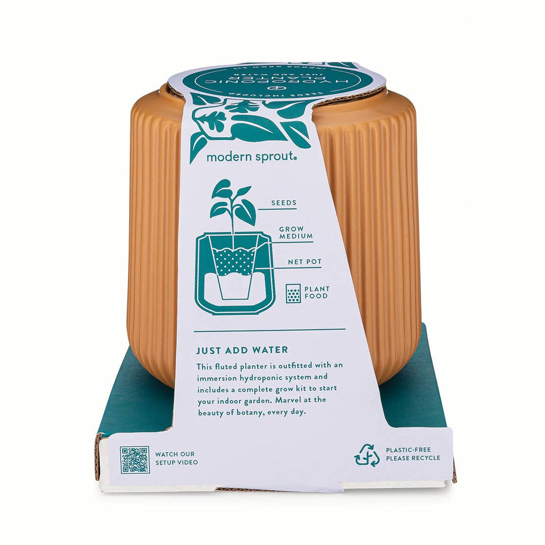 Daisy Daydream Flower Grow Kit