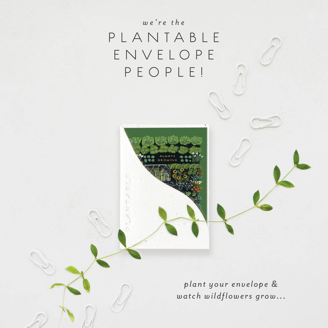 Garden Greenhouse Sprout - Mini Birthday Card