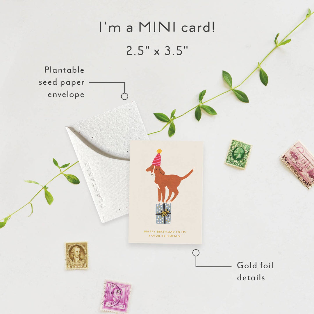 Birthday Dog Sprout - Mini Birthday Card
