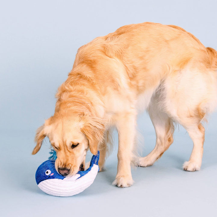 Whale Hello There Plush Dog Toy