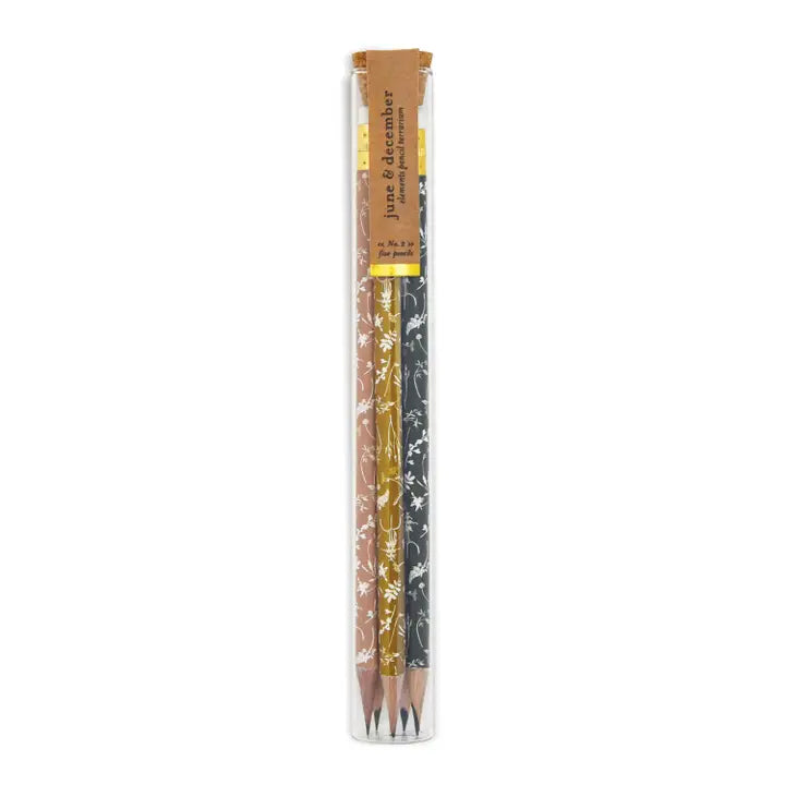Pencil Terrarium