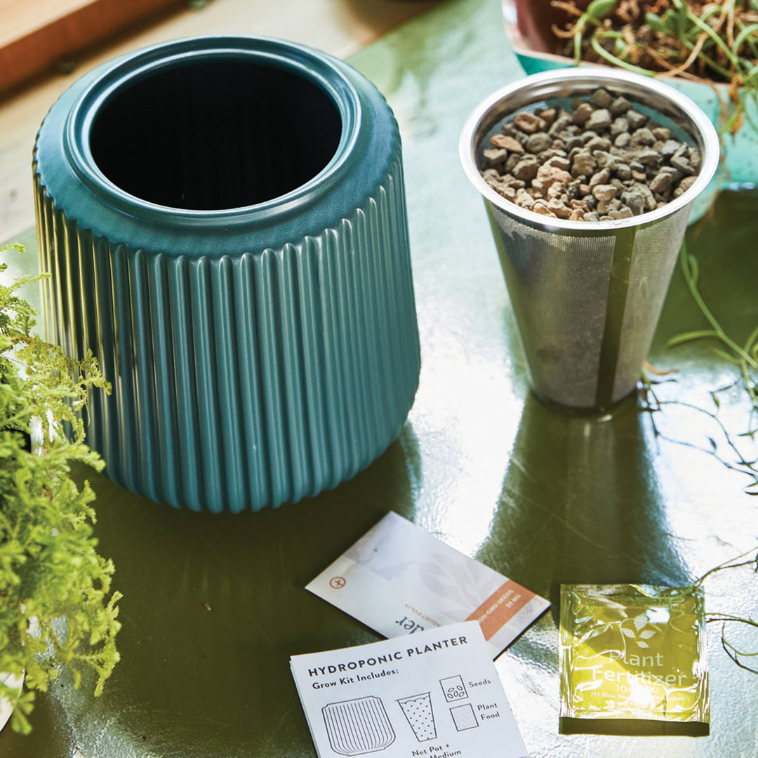Daisy Daydream Flower Grow Kit