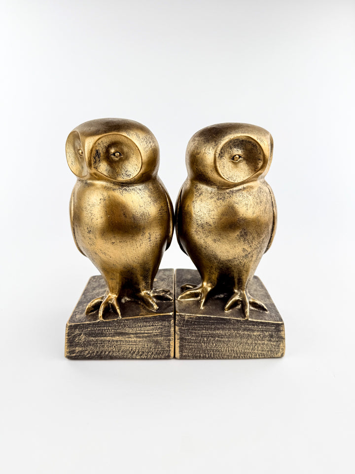 Brown Owl Bookends