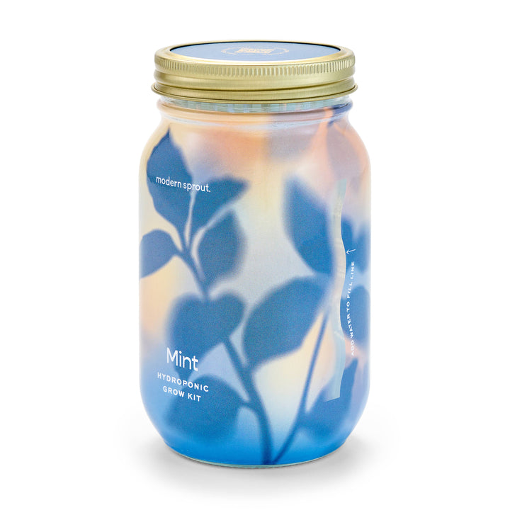 Lavender Herb Garden Jar