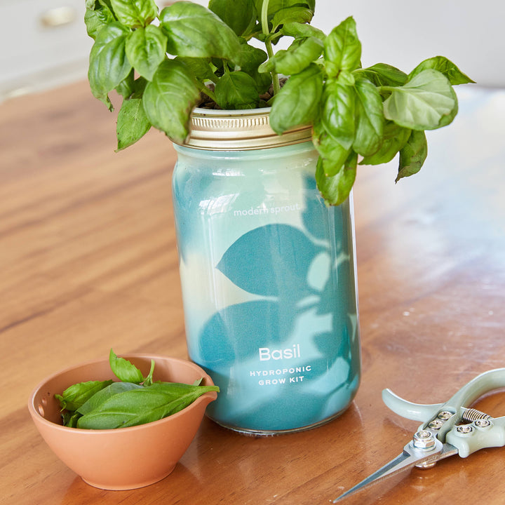 Lavender Herb Garden Jar