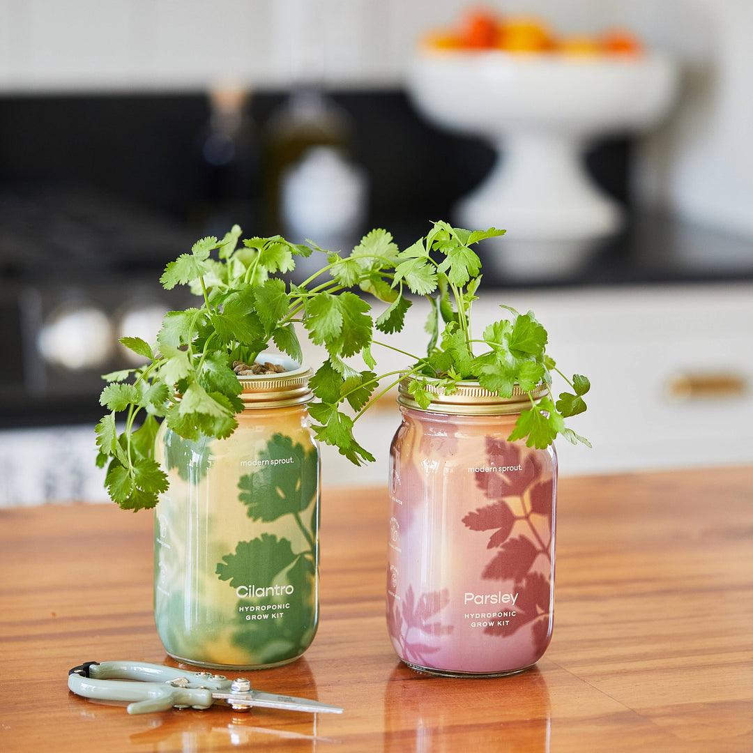 Rosemary Herb Garden Jar