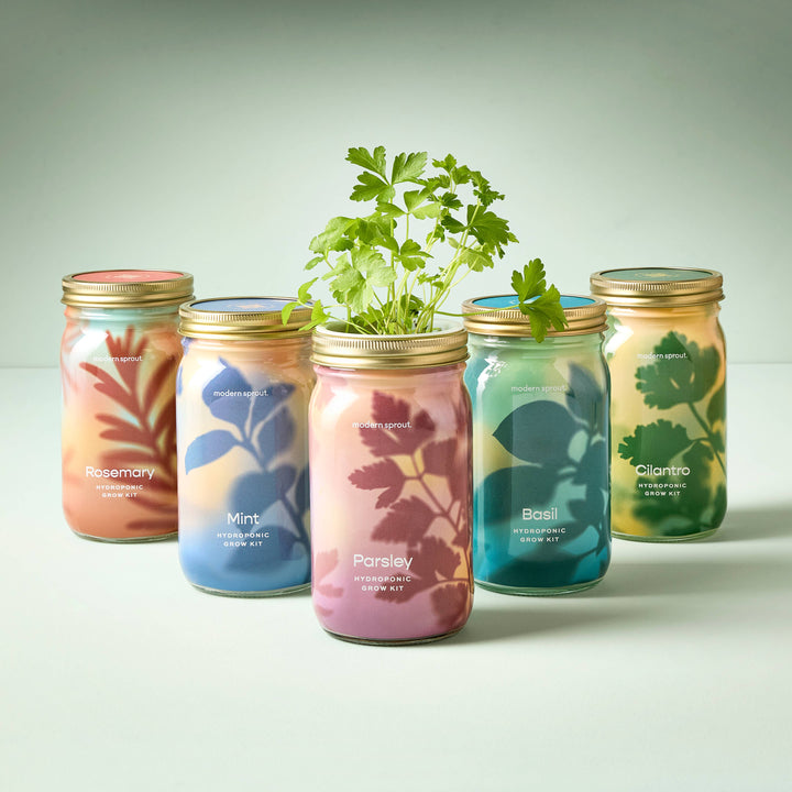Rosemary Herb Garden Jar