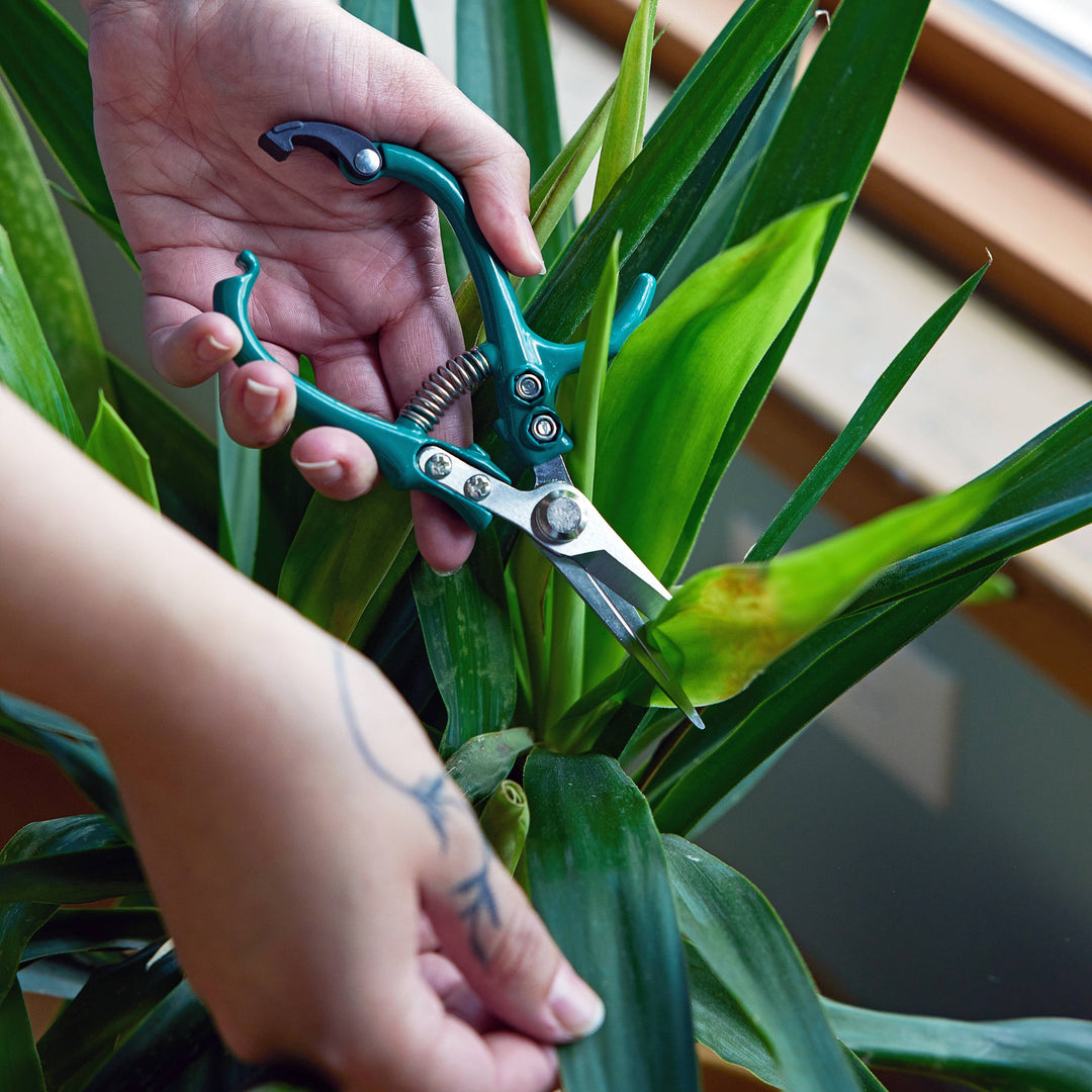 Lavender Garden Shears