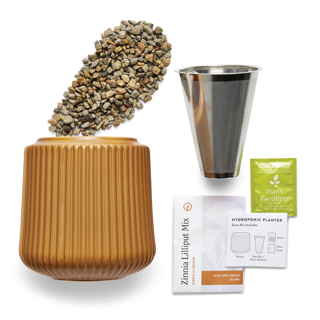 Daisy Daydream Flower Grow Kit