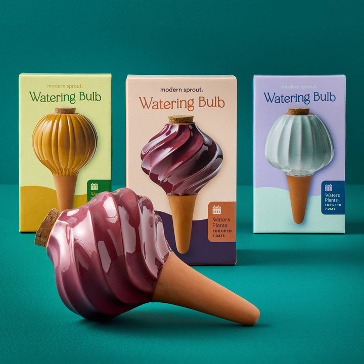 Sage Terracotta Watering Bulb