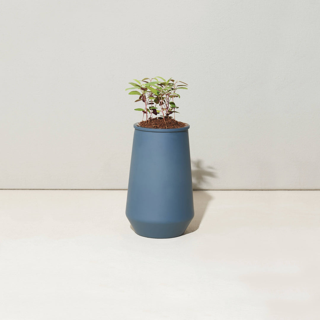 Lavender Tapered Tumbler