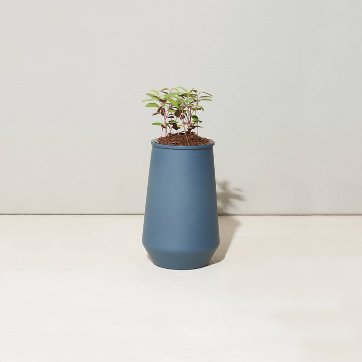 Lavender Tapered Tumbler