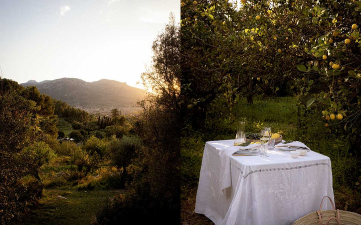 Artful Way to Plant-Based Cooking