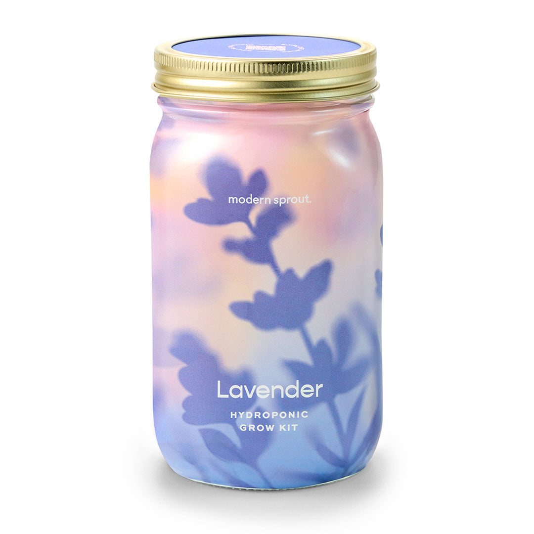 Cilantro Herb Garden Jar