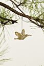 Glittered Bird Ornament