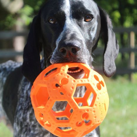 GOAT Sport Flex-A-Ball Dog Toy